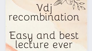 vdj recombination  antibody formation  recombination  vdj  biochemistry urdu  easy vdj [upl. by Adranoel907]