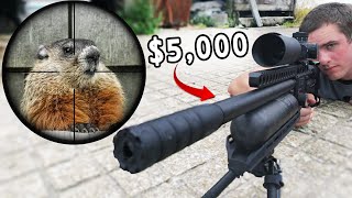 Pest Control with 5000 Airgun Scope Cam [upl. by Wimsatt]