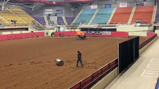 Brittany Pozzi Tonozzi amp Babe On The Prowl  1st Round of the Golden Buckle Barrel Race Futurity [upl. by Kwang]