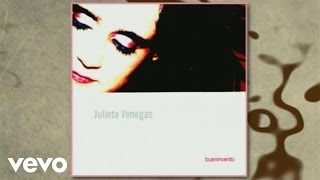 Julieta Venegas  Salvavidas Cover AudioVideo [upl. by Ydnam39]