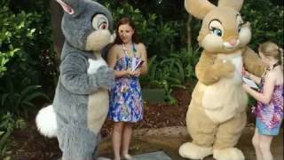 Thumper and Miss Bunny in Walt Disney World Animal KIngdom [upl. by Roderigo]