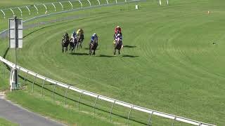 Morphettville 291220  Jump Out 12 [upl. by Dee Dee]