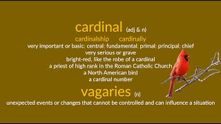 cardinal amp vagaries [upl. by Narda]