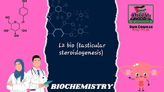 L2 bio tasticular steroidogenesis REBRO42 [upl. by Edmondo]