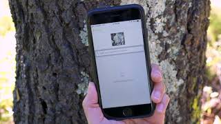 How to Make an Observation on iNaturalist using our Mobile App [upl. by Adym626]