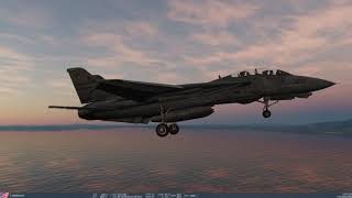 DCS F14 landing practice [upl. by Ecirb210]