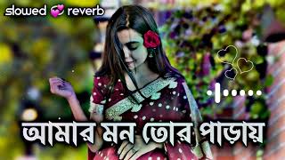 আমার মন তোর পাড়ায় Amar Mon Tor Paraiy  Slowed 💞 Reverb Ripon Lofi BD 2024 [upl. by Gallard796]