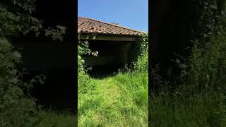 The Forgotten Farmyard  a disused barn lies abandoned by the creek in the rural Norfolk countryside [upl. by Tebazile]