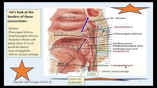 Pharyngeal and Esophageal Anatomy  Some Related PathologyGERD [upl. by Dannica534]