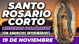 ROSARIO CORTO 19 DE NOVIEMBRE SIN ANUNCIOS INTERMEDIOS 🌷 Misterios Dolorosos 🙏 [upl. by Sonitnatsok584]