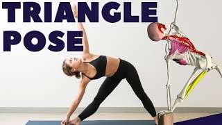 The Triangle Pose Anatomy Common Problems amp Solutions [upl. by Gan304]