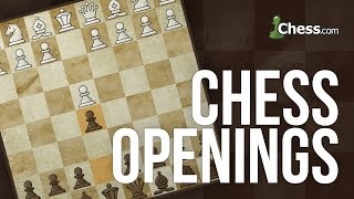 Learn to Play Chess The FourMove Checkmate [upl. by Drhacir]