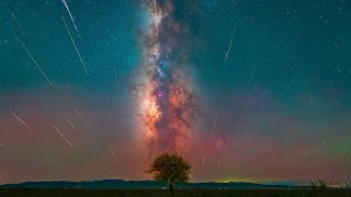 Perseid meteor shower in Grassland with a lonely tree [upl. by Lounge]