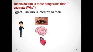 Taenia saginata Beef tapeworm amp Taenia solium pork tapeworm ديدان اللحم الشريطية [upl. by Hilleary]