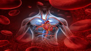 Types of Blood Circulation  Mrs Biology [upl. by Pinzler517]