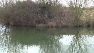 NEW CLAYGATE LAKES MARDEN NEAR PADDOCK WOOD KENT [upl. by Nilre]