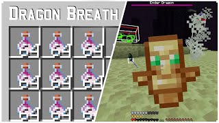 I Went to End Collecting DRAGON BREATH and KILL the ENDER DRAGON [upl. by Mclaurin]