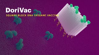 DoriVacSquare Block DNA Origami Vaccine [upl. by Jb]