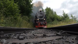 Die Brockenbahn im Sommer 2024  Aufnahmen aus dem Gleis [upl. by Ximenez65]