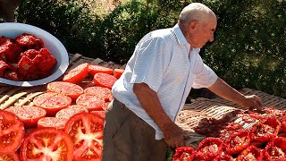 Los TOMATES SECOS Secado en cañizos y sazonado para su CONSERVACIÓN y consumo en invierno [upl. by Ainnek]