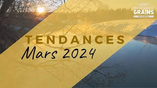 Tendances des prix du marché des grains  Mars 2024 [upl. by Lorry736]