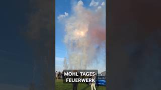 TagesFeuerwerk fireworks feuerwerk experiment vuurwerk silvester bigboom explosion shorts [upl. by Karilla355]