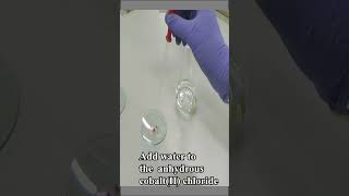 Test the water with Cobalt Chloride [upl. by Yvel]