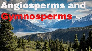 Difference between angiosperm and gymnosperm plants [upl. by Assener]