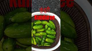 ककुंदरू घर में आए अचानक गेस्ट बनाएं ये सब्जी food recipe😋 cookwithparul TaramadhukiRasoi [upl. by Ivon]