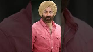 Sunny Deols Most Famous Movies  Top 10 Films of Sunny Deol [upl. by Ekihc46]