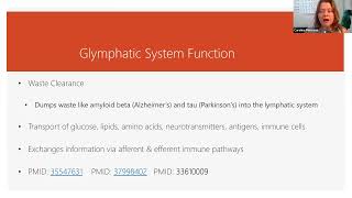 What Is the Function of the Glymphatic System shorts [upl. by Aivirt]