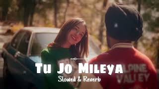 Tu Jo mileya lofi songmix sing Ankit Yadavlofisong lofi punjabisong [upl. by Alahc41]