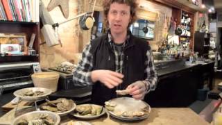 ShuckerPaddy Oyster Tasting [upl. by Eninej201]