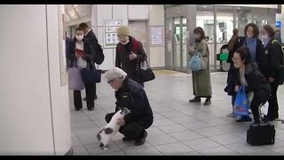 忠犬いや、猫 大好きな主人，駅でおむかえ＊ [upl. by Constantina]