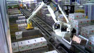 JMP ENGINEERING  Robotic Produce Palletizing with Robot on a Rail [upl. by Elianora]