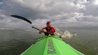 Kayak Surfing Shark Encounter [upl. by Stanfield]