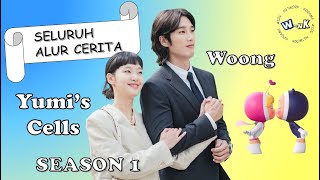 Seluruh Alur Cerita YUMIS CELLS SEASON 1  dalam 8 menit [upl. by Dallman]