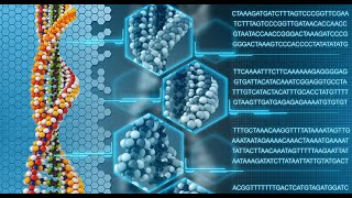 Understanding Genotyping Technologies Methods and Applications 3 Minutes [upl. by Nadine]