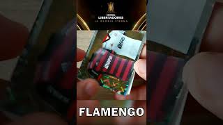 Flamengo en Copa Libertadores 2023 [upl. by Bluh]