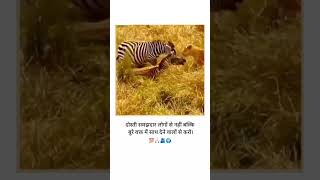 Dosti samjhdaro se nhi sath dene walo se honi chahiye trending dosti animals wildlife struggle [upl. by Treblig]