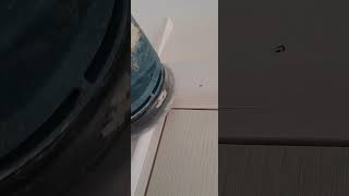 Architrave joints construction wood carpentry carpentrytips diy diywoodworking [upl. by Eikkin]