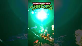 🐢🤟 HWT takes on the Teenage Mutant Ninja Turtles theme song and its turtley awesome 🎸🐢 [upl. by Adnoyek45]