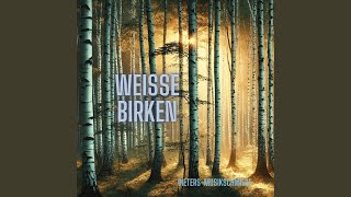 Белая Берёза Weisse Birken [upl. by Tager360]