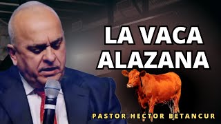 La vaca alazana  Pastor Héctor Betancur  Enseñanzas [upl. by Azmuh550]