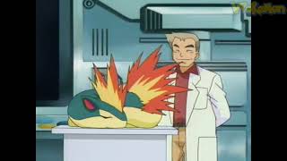 Quilava attacks Professor Oak  Professor Oak Funny Moments [upl. by Hacim794]