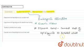 Gubernaculum is a fibrous cord that connects  12  Mock test 27  BIOLOGY  AAKASH INSTITUTE EN [upl. by Zina]