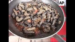 Annual insect braai highlights nutritional value of insect eating [upl. by Sonia809]