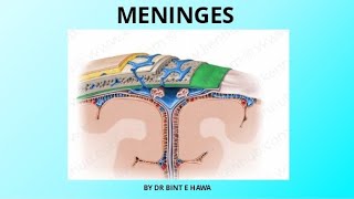 Meninges  Folds of Dura mater  Neurovascular supply  Neuroanatomy [upl. by Niro757]