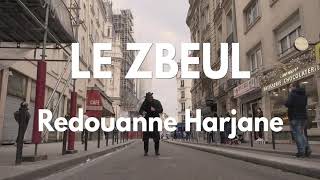 🔊🔊🔊 Redouanne Harjane  Le Zbeul Clip Officiel [upl. by Leoline]