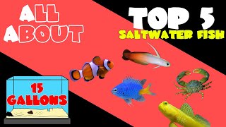 Top 5 Fish for 15 Gallon Saltwater Tank [upl. by Aiek]